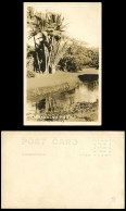 Delcampe - USA Hawaii Old Real Photo Postcard Moanalua Park Honolulu Palm Trees River Scene - Non Classés