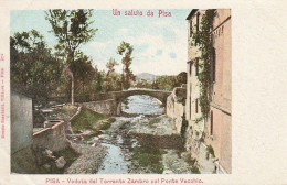 Delcampe - UN SALUTO DA PISA DETTAGLI D'EPOCA TORRENTE ZAMBRO CON PONTE VECCHIO FTO PICCOLO NON VIAGGIATA - Pisa