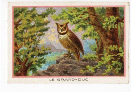 Delcampe - Chicorée WILLIOT Le Hibou Grand-duc - Tè & Caffè