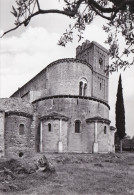 Delcampe - # MONTALCINO: LOCALITA' CASTELNUOVO DELL'ABBATE - ABBAZIA S. ANTIMO - Siena