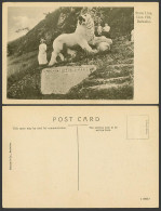 Delcampe - Barbados Old Postcard Stone Lion Statue Gun Hill Women Ladies Child Roberts & Co - Barbados (Barbuda)