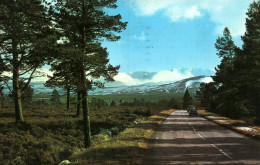 Delcampe - (RECTO / VERSO) CAIRNGORMS - THE ROAD TO THE SKI SLOPES - BEAU TIMBRE - PLIS EN BAS - FORMAT CPA - Sonstige & Ohne Zuordnung