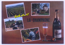 Delcampe - {105162} La Chamapgne , Multivues ; Divers Aspects, Vigne, Vendanges, Folkore - Champagne-Ardenne