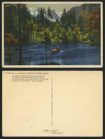 Delcampe - Swiss Old Postcard LAKE BLAUSEE & Kandertal Doldenhorn - Non Classés