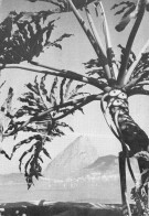 Delcampe - CPSM RIO DE JANEIRO - Le Pain De Sucre - Publicité INONGAN - Laboratoire Fumouze - Timbre   L4798 - Rio De Janeiro