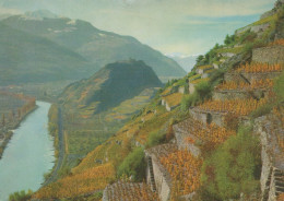 Delcampe - Suisse Sion Vignobles Vallée Du Rhône Château Tourbillon Postée #SCB441 - Sion
