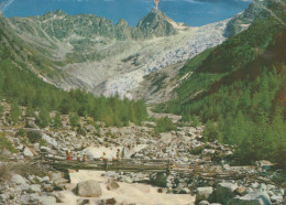 Delcampe - Suisse Trient Glacier Du Paysage Alpin Pont En Bois #SCB231 - Trient