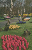 Delcampe - Nederland Lisse Keukenhof Bloemenpark Lente Unposted #SCB134 - Lisse