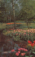 Delcampe - Nederland Keukenhof Lisse Zuid Holland Tulpen Bloementuin Vijver #SCB133 - Lisse
