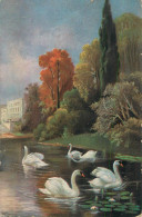 Delcampe - A6156 Place To Identify Swans On The Pond Illustration - Vogels