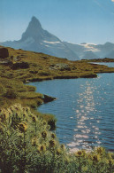 Delcampe - Schweiz Zermatt Wallis Idyllische Berglandschaft Stellisee Matterhorn #SCB763 - Zermatt