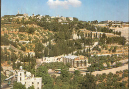 Delcampe - CPM Jerusalem Jardin De Gethsemani - Israel