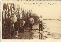 Delcampe - Ares Bassin D'Arcachon Travaux De Défense Sur Les Parcs Contre Les Poissons Mangeurs D'huitres - Arès