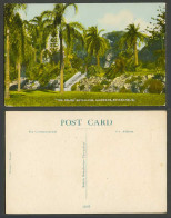 Delcampe - Australia Old Colour Postcard The Palms Botanical Gardens Brisbane Q. Queensland - Autres & Non Classés