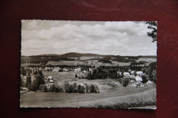 Delcampe - ALLEMAGNE - HINTERZARTEN - Hinterzarten