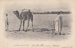 Delcampe - CPA AFRIQUE DU NORD - Laboureurs Dans Le Désert (N°28) - Collections ND Phot. - Animée - Ohne Zuordnung