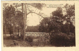 Delcampe - Ares Bassin D'Arcachon Vers Le Sanatorium De Lege - Arès