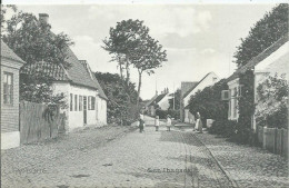 Delcampe - DANEMARK- VIBORG - Sct IBSGADE - Dänemark