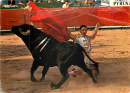 Delcampe - CPM Toros Passe A Genoux Corrida Taureau - Stierkampf