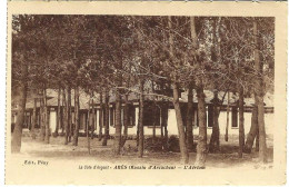 Delcampe - Ares Bassin D'Arcachon L'aerium - Arès
