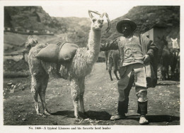 Delcampe - Peru Llamero Llama Herder B36330 - Perú