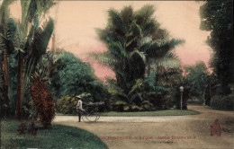 Delcampe - CPA Saigon Cochinchine Vietnam, Jardin Botanique - Vietnam