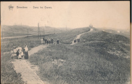 Delcampe - BREDENE.    DANS LES DUNES - Bredene
