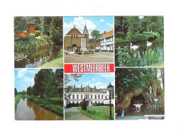Delcampe - WESTMEERBEEK - GROETEN UIT WESTMEERBEEK     (11.356) - Hulshout