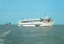 Delcampe - N°43603 Z -cpsm La Sirène De La Baie - Croisière En Baie Du Mont St Michel- - Autres & Non Classés