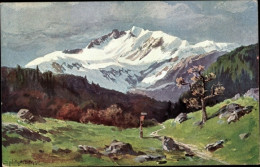 Delcampe - Artiste CPA Splitberger, Gebirgslandschaft, Spitze, Wiese, Baum - Sonstige & Ohne Zuordnung