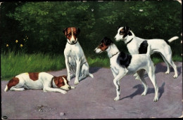 Delcampe - CPA Vier Hunde, Spaziergang, Straße - Otros & Sin Clasificación