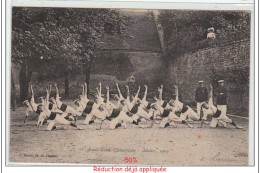 Delcampe - CLAMECY - état - Clamecy