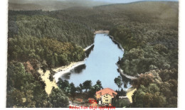 Delcampe - BITCHE: Etang D'hasselfurth Vue Aérienne 10x15 - Très Bon état - Bitche