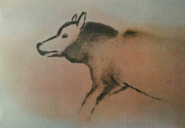 Delcampe - France Les Eyzies Grotte Font De Gaume Loup Art Préhistorique Unposted #SCC558 - Les Eyzies