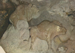 Delcampe - France Les Eyzies Dordogne Musée Préhistoire Bisons Argile Unposted #SCC553 - Les Eyzies