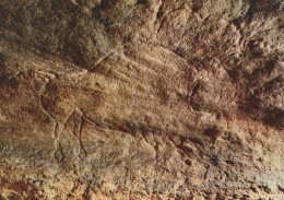 Delcampe - France Les Eyzies Grotte De La Mouthe Bison Gravé Préhistoire Unposted #SCC552 - Les Eyzies