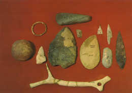 Delcampe - France Les Eyzies Musée Préhistoire Outils Chasse Guerre Unposted #SCC546 - Les Eyzies