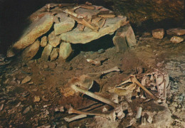 Delcampe - France Les Eyzies Musée Préhistoire Squelette Magdalénien Unposted #SCC549 - Les Eyzies