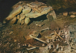 Delcampe - France Les Eyzies Squelette Magdalénien Musée Préhistoire Unposted #SCC550 - Les Eyzies