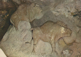 Delcampe - France Les Eyzies Musée Préhistoire Bisons D Argile Unposted #SCC551 - Les Eyzies