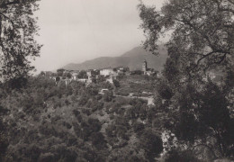 Delcampe - France Castellar Village Perché Vue Générale Unposted #SCC352 - Autres & Non Classés