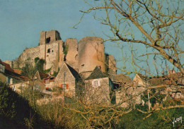 Delcampe - France Castelnaud Fayrac Ruines Du Château De Castelnau Xiie S Unposted #SCC361 - Autres & Non Classés