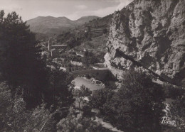 Delcampe - France Castellane Pont Napoléon Verdon Paysage Real Photo Unposted #SCC349 - Castellane
