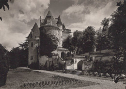 Delcampe - France Castelnaud Fayrac Château Des Milandes Château Médiéval Fortifié #SCC337 - Autres & Non Classés