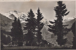 Delcampe - Schweiz Wengen Berner Oberland Panoramablick Auf Jungfrau Und Tannen #SCC226 - Wengen