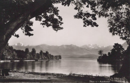 Delcampe - Schweiz Thun Aarekanal Idyllischer See Mit Berner Alpenkette Unposted #SCC158 - Thun