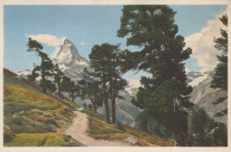Delcampe - Schweiz Zermatt Wallis Matterhorn Riffelalp Gebirgslandschaft #SCC101 - Zermatt