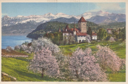 Delcampe - Schweiz Spiez Schloss Thunersee Alpen Blühende Bäume Beschrieben #SCC082 - Spiez