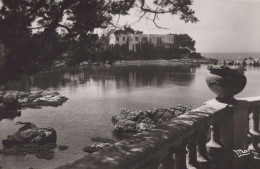 Delcampe - France Antibes Cap D Port De L Olivette Real Photo Unposted #SCD036 - Autres & Non Classés