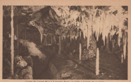 Delcampe - France Les Eyzies De Tayac Sireuil Les Eyzies Grotte Du Grand Roc Salle #SCC957 - Les Eyzies